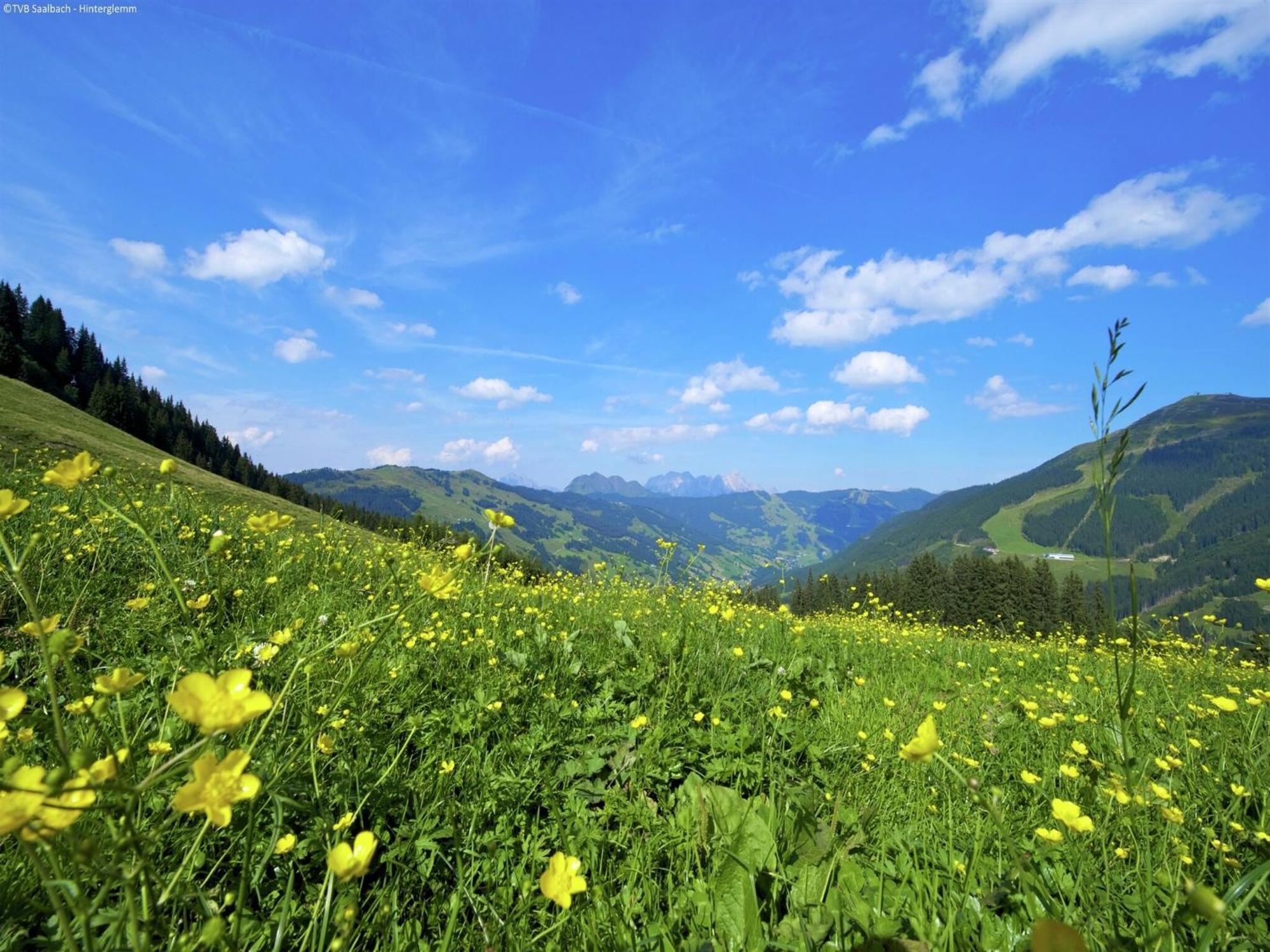 Modern Chalet With Sauna Near Ski Area In Saalbach Hinterglemm Salzburgerland 외부 사진